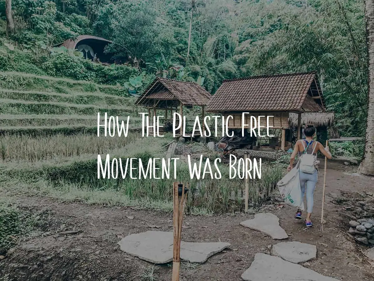 How The Plastic Free Movement Was Born